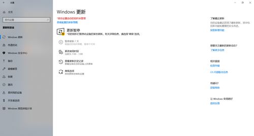 我的win10家庭版windows更新选项有红字,网上搜了好多教程都不管用,怎么去掉,求大神指教 