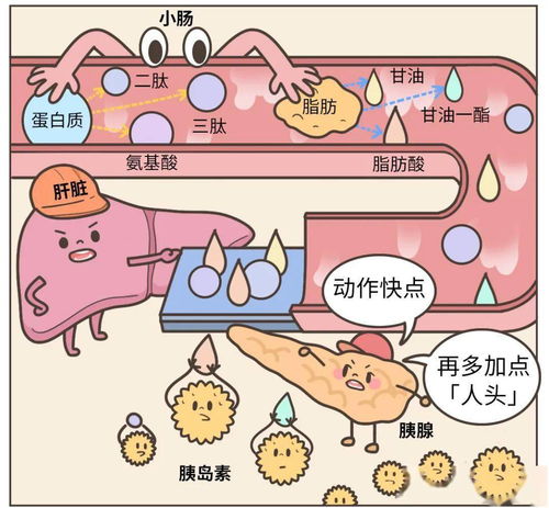 堆积如山打一准确生肖