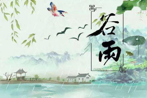 谷雨洗纤素,裁为白牡丹 仓颉 