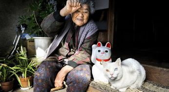 日本摄影师伊原美代子记录奶奶与她的猫伴侣 