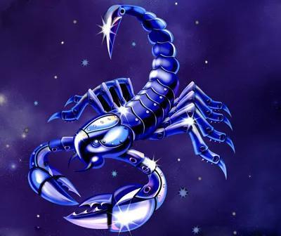 水瓶 双鱼 天蝎,有两个守护星的星座