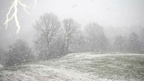 俗话说 雷打雪 人吃铁 ,下雪天打雷真是凶兆吗