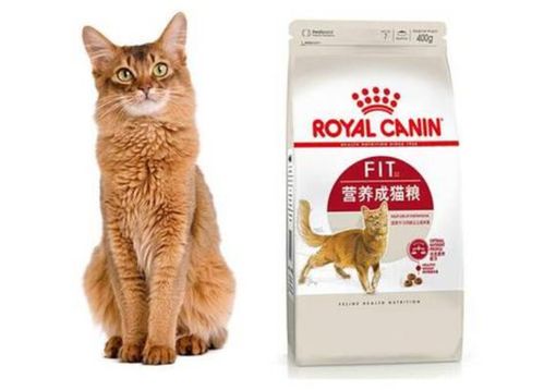 十大国产放心的猫粮品牌排行