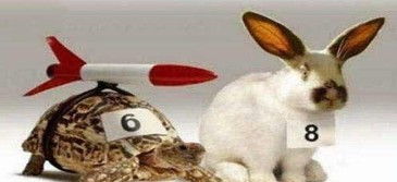 乌龟7次跑赢兔子凭啥 深度推荐 