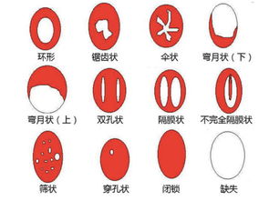 除了卫生巾,生理期还有这么多靠得住的选择