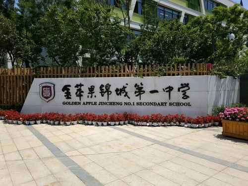 成都私立学校小学哪家强