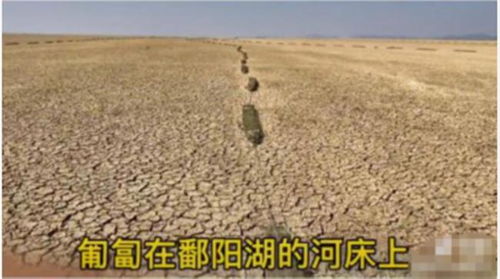 官方回应鄱阳湖现巨型地笼阵(鄱阳湖湖底地形)