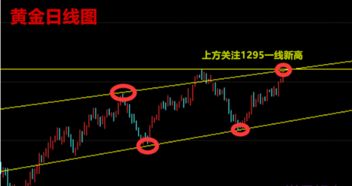 为什么做现货黄金做涨做跌还要亏