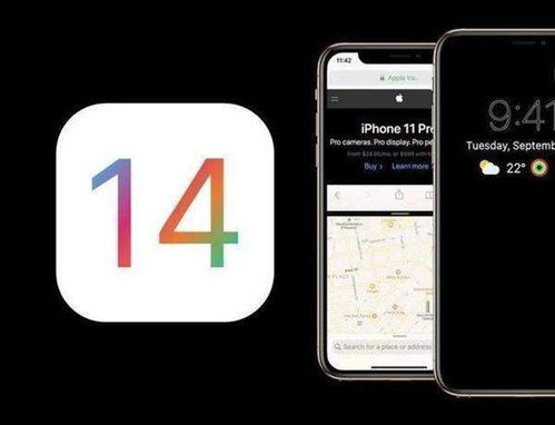 为了iOS 14这项新功能,不能再做iOS 13钉子户了
