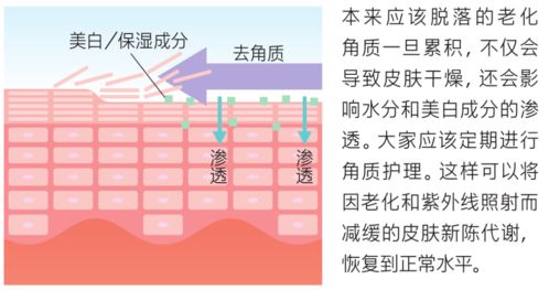 戚薇老年妆最怕的是色斑,有效应对色斑 暗沉的美白护理法