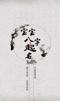 宝宝八字起名下载