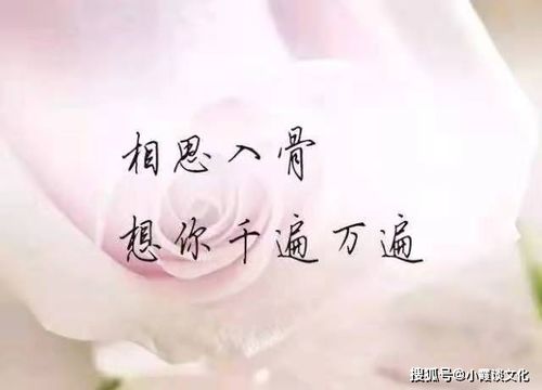 心情非常的不好的说说,句句刺痛人心,送给身心疲惫的你