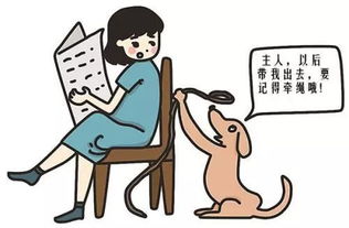 禁犬令 安康政协委员呼吁 出台养犬管理地方性法规