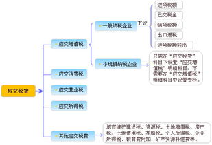 刚刚转让过来的公司缴纳以前的应交税费，应计入什么科目？