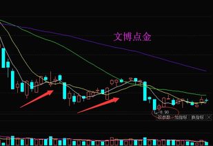 上海凯宝的主营业务分析