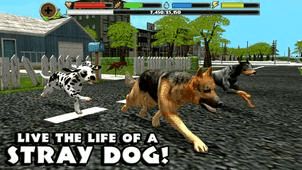 流浪狗模拟游戏 下载 图文攻略 全通关攻略 高分攻略 百度攻略 