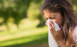 过敏性鼻炎的治疗方法都有哪些 