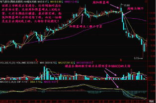 股票中庄家做头部的信号有哪些?