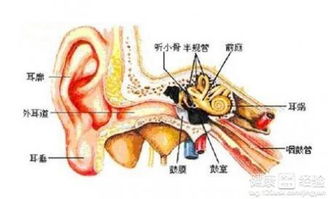 中耳炎怎么治疗最有效