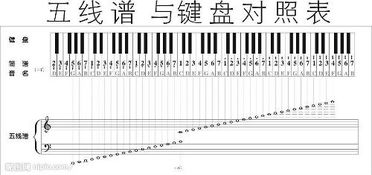 求钢琴音阶图 就是每个按键对应什么音 图哈 