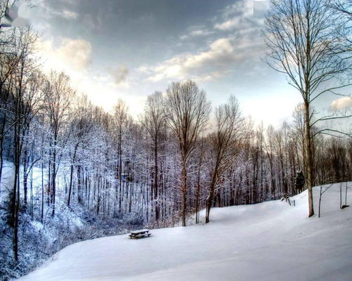 春节天气新鲜出炉 全省气温稍低降雪偏少