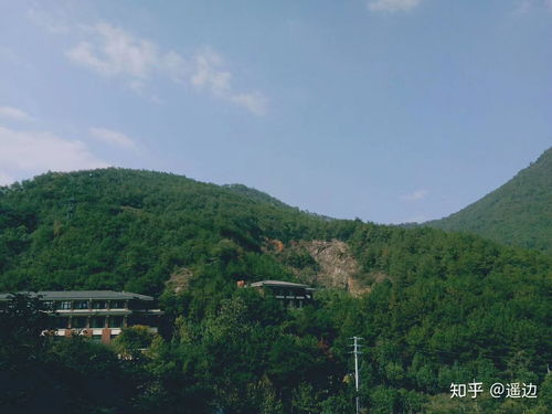 青岛单招学校有哪些好的大学