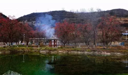 亮瞎双眼,这里风景如画宛如世外桃源......