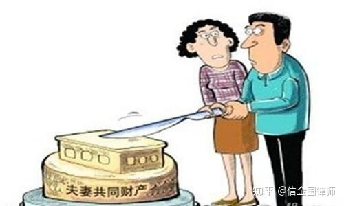 夫妻无共同财产是什么意思