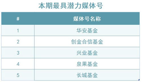 国家基金申请毕业查重流程详解