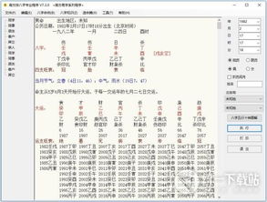 南方排八字专业程序 南方排八字软件 v7.30 专业版 飞极下载站 