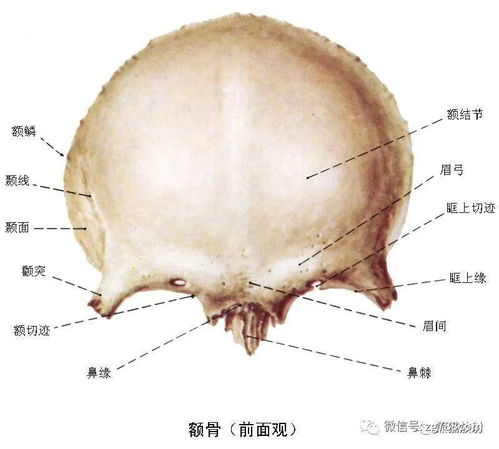 脸上骨头错位并非你看到的样子