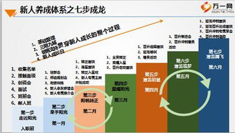 我是新人，公司的晋升体系该如何建立？