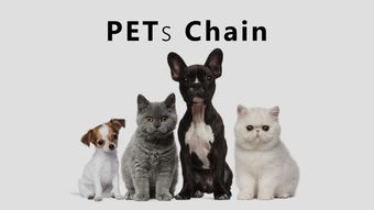 宠物链 如何利用区块链技术颠覆千亿级宠物市场