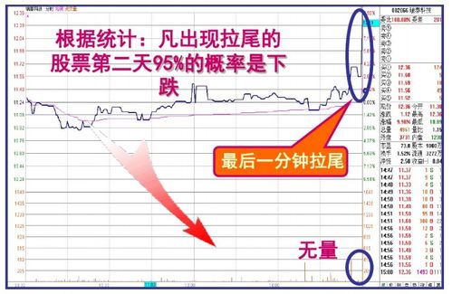 一般多少钱入股市最好。