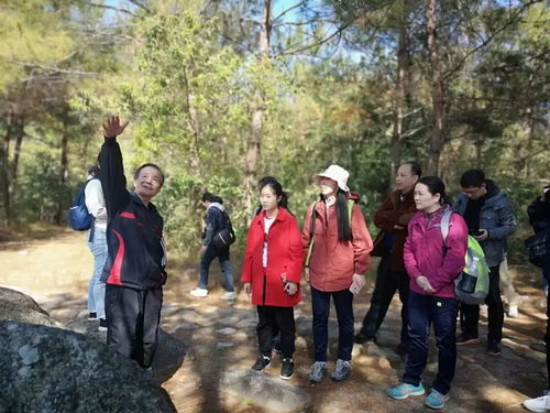 韩山师范学院考察队到上饶西片古道 麒麟岭古道实地考察