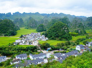 万峰林哪个门口进去好(福州万佛寺有免费停车场吗)