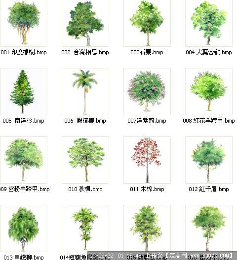 植物名称大全及图片 搜狗图片搜索