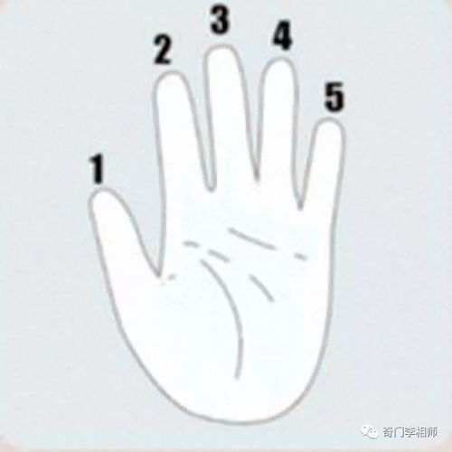 五根手指分别代表了什么含义 