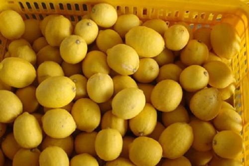 柠檬种植方法和注意事项,柠檬的种植与管理技术？