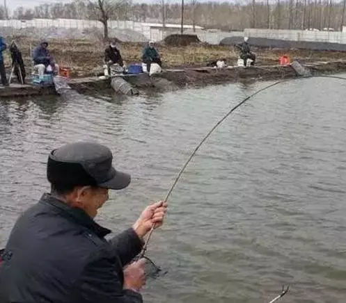 珠海黑坑钓鱼要善察 能守, 方能突破 