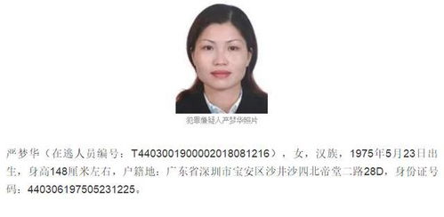 深圳籍女子上公安部A级通缉令 涉串通投标罪,曾被悬赏通缉 2020 05 15 08 36 22 