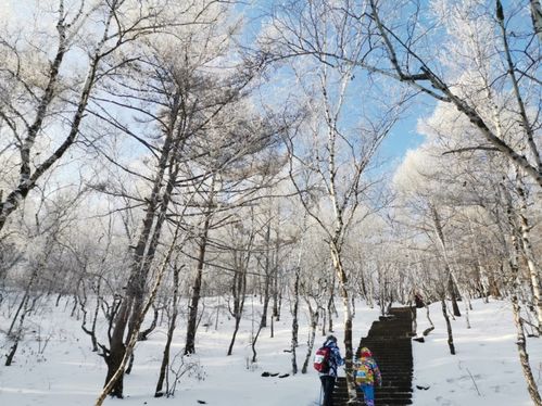 冰天雪地里感受徒步乐趣 2020徒步中国 全国徒步大会 五大连池风景区站 闭幕