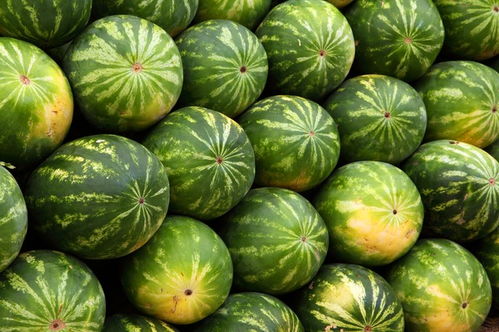 吃西瓜有什么好处 西瓜有什么营养价值 