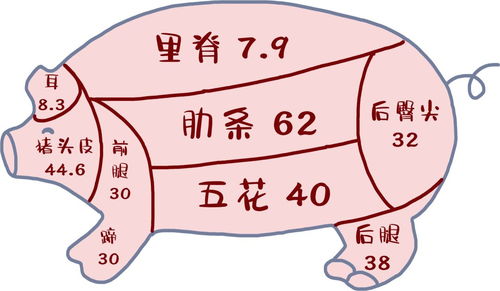 里脊猪肉的部位分割图 信息评鉴中心 酷米资讯 Kumizx Com