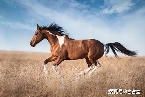 开门红 四大生肖近3个月事业晋升,生意进步,赚钱马力全开