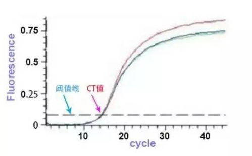 PCR异常扩增曲线分析攻略