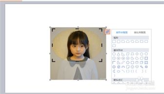 怎样把ppt和wps中的图片裁剪成圆形和椭圆形 