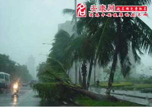 梦见狂风暴雨