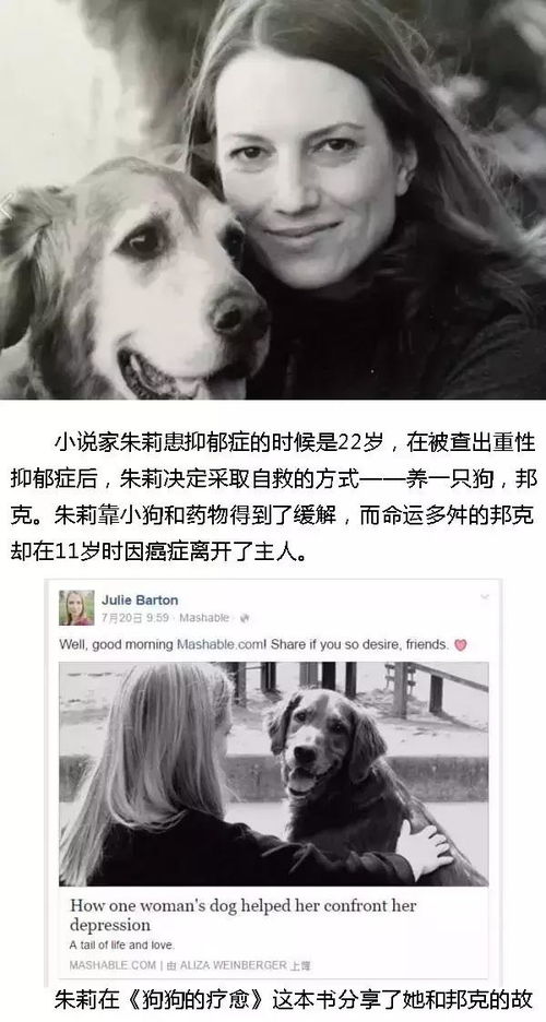 福懋动物医院 狗能治愈人类抑郁,那它的抑郁谁可知