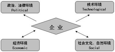 环境因素包括哪些(一般环境因素包括哪些)